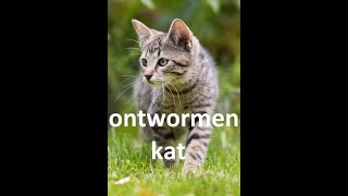 Uw vraag beantwoord ontwormen kat [upl. by Anitsirhc257]