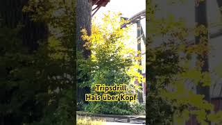 Erlebnispark Tripsdrill Achterbahn Hals über Kopf [upl. by Carnay]