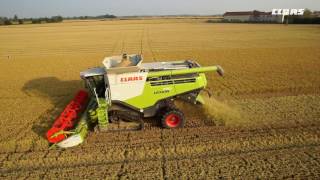 CLAAS In Campo LEXION 770 Riso Tier 4i  LEXION 760 Riso Tier 3  2016  it [upl. by Adnawad607]