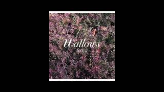 top 3 wallows songs wallows music shorts [upl. by Helbonna]