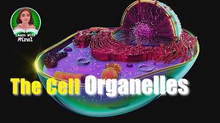 What is Inside The Cell Cell Organelles cellorganelles cellbiology [upl. by Mayrim504]