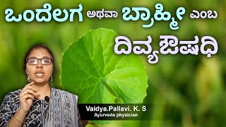 ಒಂದೆಲಗ ಸೇವನೆಯಿಂದ ಏನೆಲ್ಲಾ ಲಾಭವಿದೆ ಗೊತ್ತಾ  Brahmi Leaves Benefits  Health benefits of ondelaga [upl. by Atinek272]