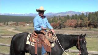 Pat Parelli Horse Training QampA  YoYo Game [upl. by Ahnavas]