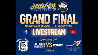 TOTAL FITOUTS  OPEN Mens Gold Grand Final 2024 East Hills Bulldogs Vs Mounties [upl. by Jerald57]