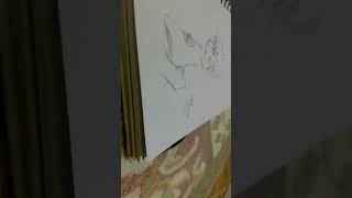 Drawing Naruto in my new diary ￼ [upl. by Assilak]