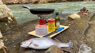 Creek Side TROUT CATCH and COOK [upl. by Kcirednek715]