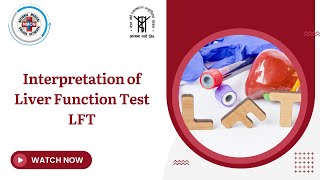 Interpretation of Liver Function Test LFT [upl. by Aurie41]