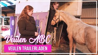 VeulenABC  Voor het eerst trailerladen met een veulen [upl. by Dorn50]