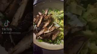 HIGH PROTEIN LOW CARB healthy chickenrecipes highprotein yummy [upl. by Aieken580]