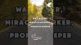 Way Maker By Leeland Video Lyrics shorts short leeland waymaker promisekeeper lyricvideo [upl. by Odell]