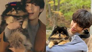 BTS V Shares Heartbreaking News Beloved Dog Yeontan Passes Away [upl. by Rhyne]