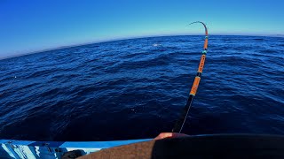 WIDE OPEN YELLOWTAIL FISHING ON SURFACE IRONS AT CEDROS ISLAND BCS  RAW FOOTAGE  POV [upl. by Bianchi]