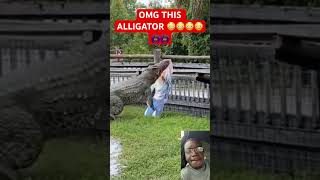 WHEN THE ALLIGATOR THINKS HE GOT FRESH MEAT [upl. by Atiuqcir20]