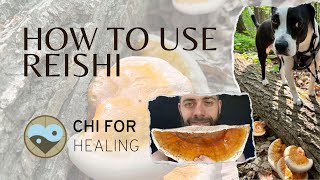 How To Use Reishi Mushrooms After Harvesting [upl. by Bud]