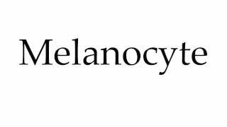 How to Pronounce Melanocyte [upl. by Elyk226]