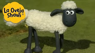 La Oveja Shaun 🐑 AVENTURA CON OVEJAS 🐑 Dibujos animados para niños [upl. by Naasar167]