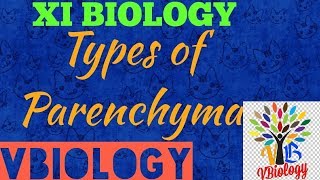 Types of parenchyma tissue  XI BIOLOGY  ENTRANCE  NEET  AIIMS [upl. by Whiffen]