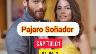 PajaroSoñadorCap1Erkenci Resumen pájarosoñadorcapitulo pájarosoñadorseries erkencikus [upl. by Ahsitam]