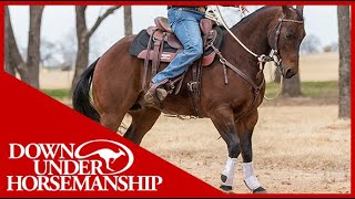 Clinton Anderson How to Get Your Horse to Go Forward  Downunder Horsemanship [upl. by Cinda]