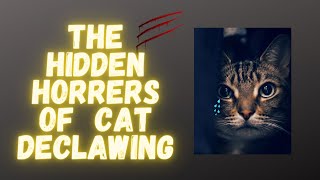 The Hidden Horrors of Cat Declawing [upl. by Irat173]