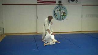 Danzan Ryu Jujitsu compilation of throws [upl. by Greenwald]