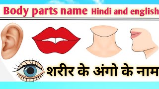 Body parts name hindi and english me । शरीर के अंगो के नाम body parts name for kids।। [upl. by Aggri443]