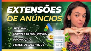 COMO FAZER EXTENSÕES NO GOOGLE ADS SITELINK  SNIPPET ESTRUTURADO  PROMOÇÃO  FRASE DE DESTAQUE [upl. by Mcarthur]