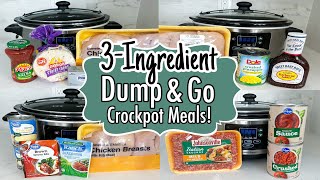 6 DUMP amp GO CROCKPOT DINNERS  The EASIEST 3Ingredient Slow Cooker Recipes  Julia Pacheco [upl. by Ventre]