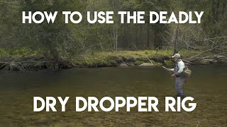 How to Use Dry Droppers for Trout [upl. by Devaney899]