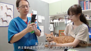 TONOVET 恩典朱淵源 操作簡介與運用時機 Measuring cats IOP [upl. by Garey]