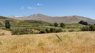 Lot 12 Gibbston Back Road Gibbston Queenstown Otago [upl. by Euqor]