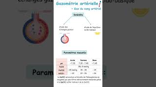 Interprétation De Gazométrie Artérielle Gaz Du Sang ArtérielPneumologie shorts [upl. by Ellata]