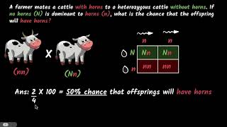 Monohybrid cross  Heredity and evolution  Biology class 10  Khan Academy [upl. by Hirz537]