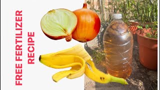 How to Make Banana amp onions Peel Fertilizer Water for Plants Garden DIY [upl. by Nnaitsirk351]