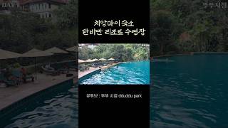 치앙마이 숙소 추천 🏡 판미만 리조트 수영장 🏊🏼‍♀️ 치앙마이여행 치앙마이숙소 치앙마이 치앙마이브이로그 [upl. by Naerol]