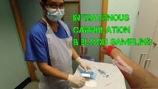 HOW TO DO IV CANNULATION AND BLOOD SAMPLING [upl. by Ilah]