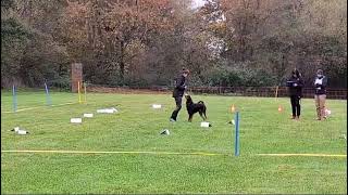 Rally Obedience Turnier beim SG OV Baiersdorf [upl. by Clough452]