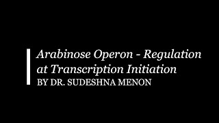 Arabinose Operon Regulation at Transcription Initiation [upl. by Hamlani]