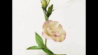 Flower Paste Lisianthus Spray [upl. by Eniger]