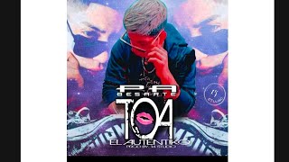 Pa besarte Toa  el autentiko  Prod by 14 studio [upl. by Dlarej586]