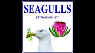 Seagulls vs Harlequins forces  07092024 [upl. by Bacon]