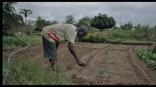 DANGERS DE LA MAUVAISE UTILISATION DES PESTICIDES CHIMIQUES DE SYNTHÈSE EN AGRICULTURE [upl. by Watters]