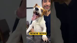 Farzana Sithi ফারজানা সিথি tiktok funny ঢাবি [upl. by Siravrat953]