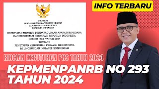 SUDAH TERBIT RINCIAN KEBUTUHAN ASN BERDASARKAN KEPMENPANRB NO 293 TAHUN 2024 [upl. by Hsetih281]