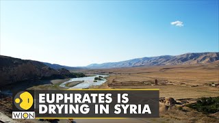 Syrias longest river Euphrates dries  Latest English News  World News  WION [upl. by Amej]