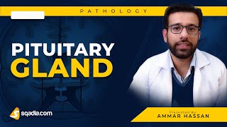 Pituitary Gland  1 Hypopituitarism  Medical Pathology  Video Lecture  VLearning [upl. by Ute]