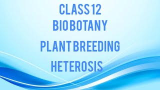 Plant breeding  Heterosis  Class 12  Bio botany  TN state board  Tamil [upl. by Yentnuoc]