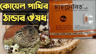 কোয়েল পাখির ঠান্ডার ঔষধ। koel pakhi medicine [upl. by Giuseppe]