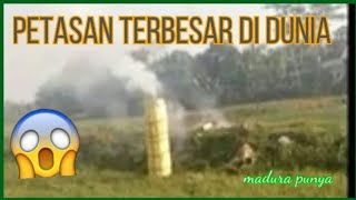 Petasan terbesar di dunia di meledak di sawah madura [upl. by Namzzaj]