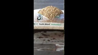 Timelapse  Cleanfire Softwood Wood Pellets into Horse Bedding [upl. by Akcinahs113]